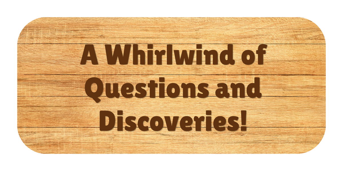 My Gluten-Free Monday: A Whirlwind of Questions and Discoveries!